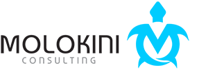 Molokini Consulting
